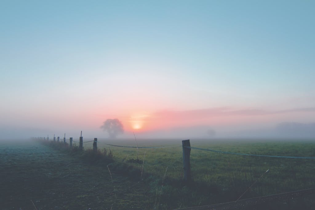 Peaceful morning landscape with fog and sunrise over a fenced countryside field.